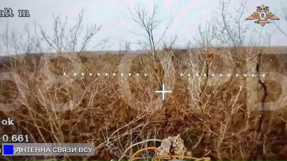 68 ��� ������ ��������, ������ � ������� ����� ��� � ������������� � �������