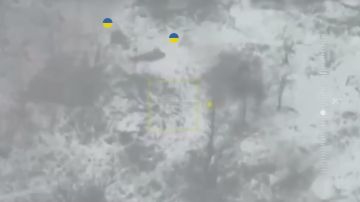 ������ �������: ����������� ������ �������������� ���