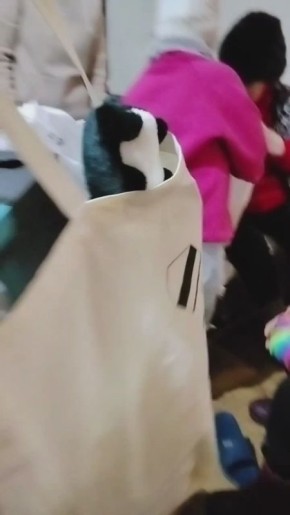 ���������� ���������� ����������