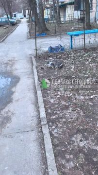 � � ������ ��������! � ������� � ������ ���� ���� ����