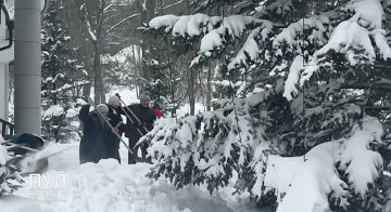 ���������� ������ ����� �� ������: ��������� ������� �� ������� �����