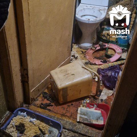 Волонтеры обвинили алчевскую зоозащитницу в том, что она бросила больше 25 котов в квартире Волонтеры обвинили алчевскую зоозащитницу в том, что она бросила больше 25 котов в квартире