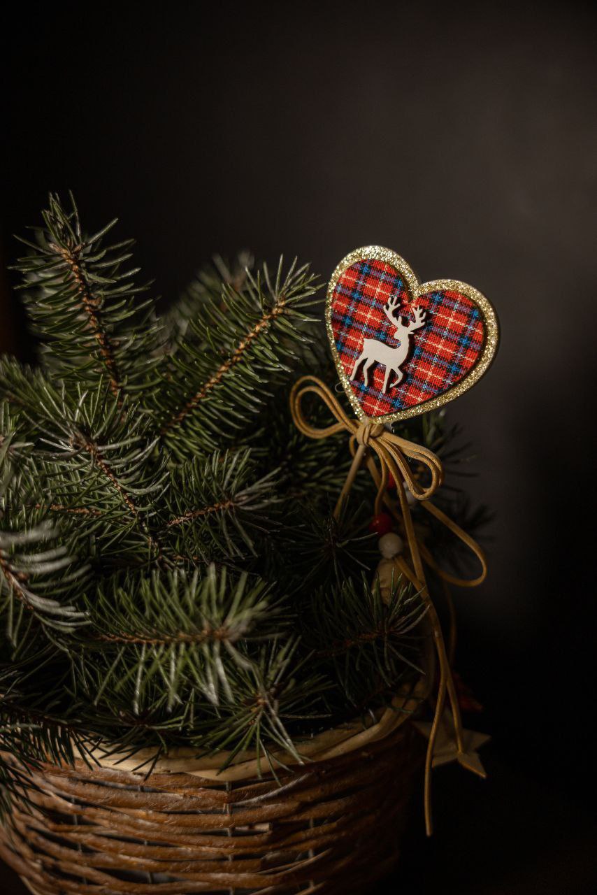 "Новогодний натюрморт". В фотокружке «Гелиос» МБУ «Клуб «Прогресс» г. о. Торез» прошел Мастер-класс под названием «Новогодний натюрморт» "Новогодний натюрморт". В фотокружке «Гелиос» МБУ «Клуб «Прогресс» г. о. Торез» прошел Мастер-класс под названием «Новогодний натюрморт»