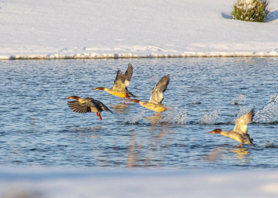 #* Подборка интересных новостей из регионов к этому часу #* Подборка интересных новостей из регионов к этому часу