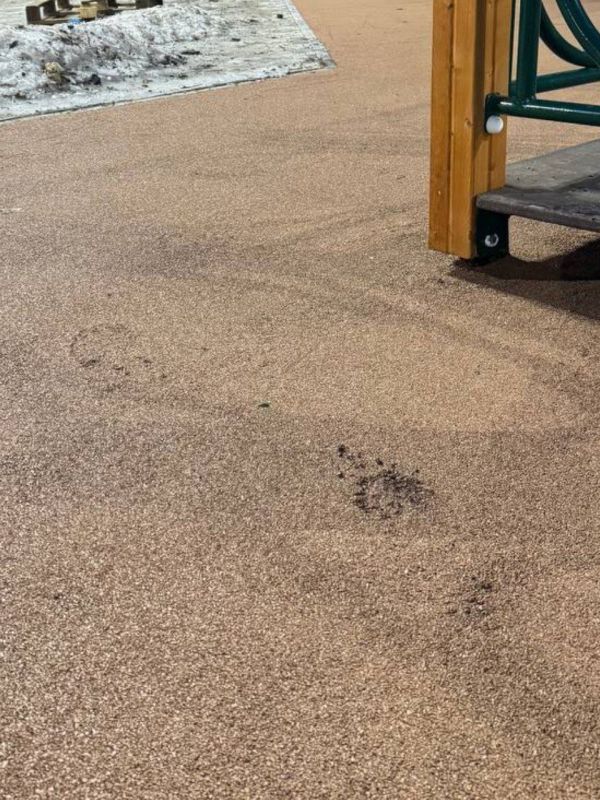 ����� ��������: ��������� ������ ���������� ������ ��������