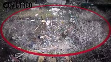 ����������� ������ �����������: ����� ����������� ����� � ���� �������� �������� ������� ��������� ����� � ���� ������ 2-� ������� ���