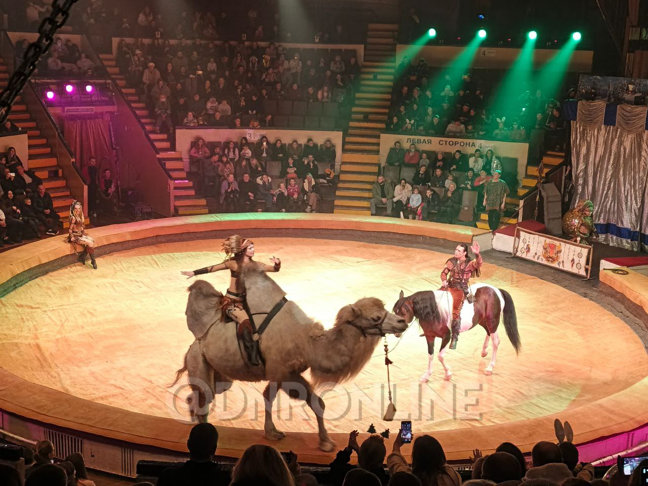 В Донецке завершаются цирковые гастроли «Дикая планета» В Донецке завершаются цирковые гастроли «Дикая планета»