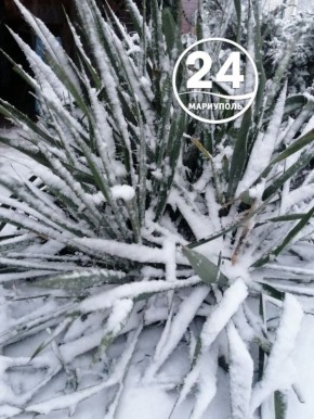 С добрым утром, Мариуполь!