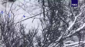 ���������� ������ �������� ����� ��������� ������ ���������� ���� ��� � ���