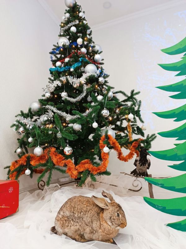 Иногда самые яркие впечатления настигают нас не сразу Иногда самые яркие впечатления настигают нас не сразу