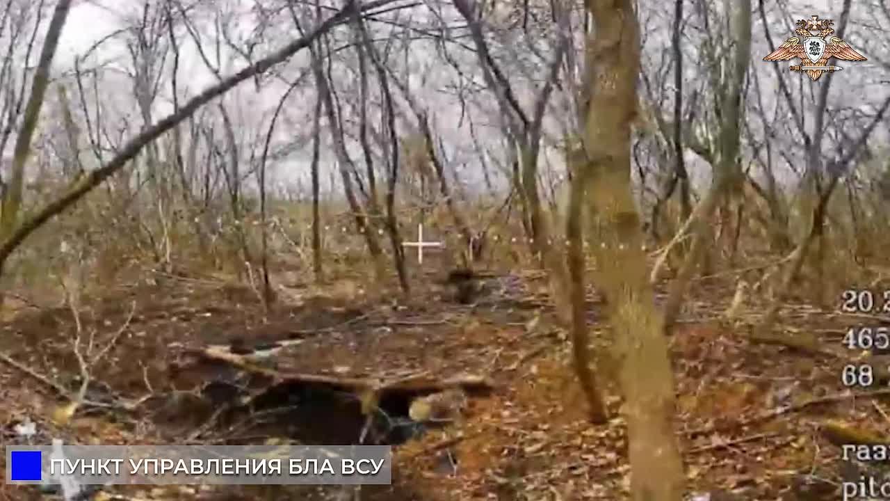 Подразделения 150 дивизии громят ПУ БЛА, позиции и личный состав ВСУ в Приюте и Новопавловке