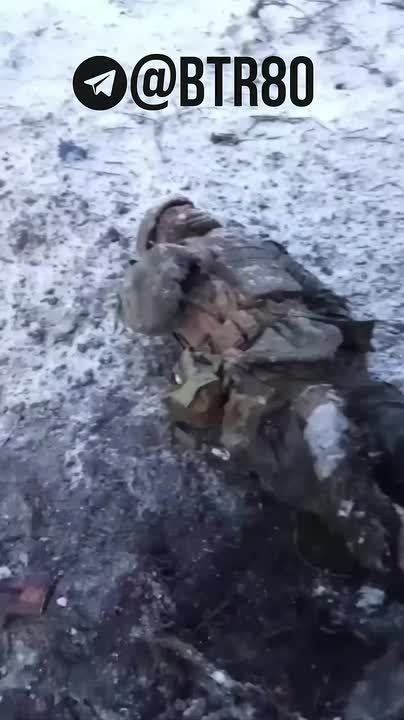 ��������������� � ������ ���������� ������ ���������� ����������� �������� "���������, ������"