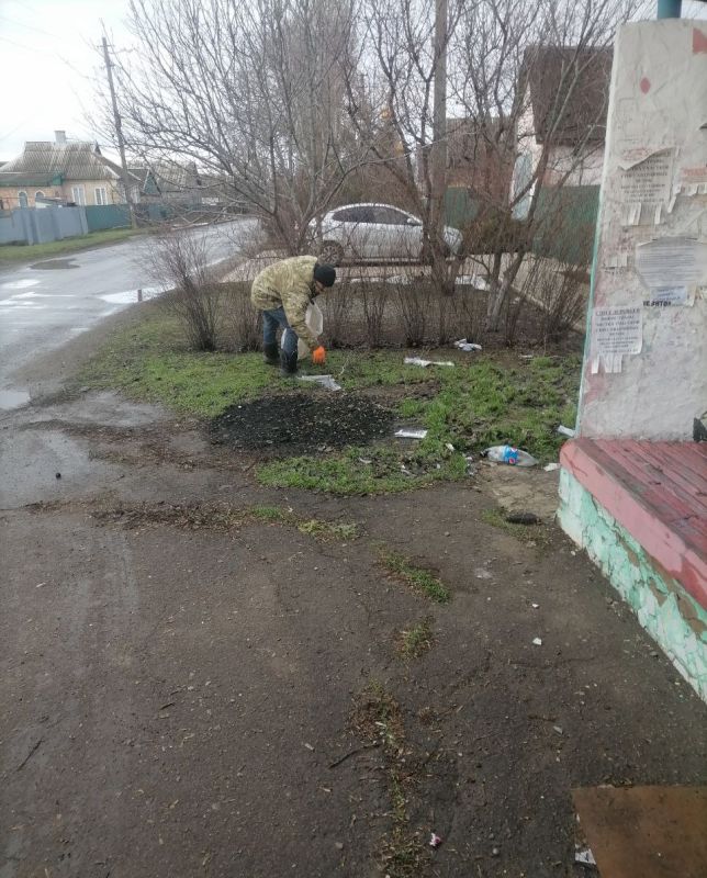 ����� �����: �������� �� ���������� �������