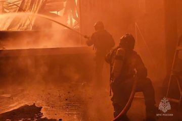 �� �������� ����� � ��� ������������� 12 ������� � �� ��� ������ �� ����������