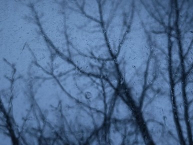 11 ������ � ���������� �������, �����, ������ ����