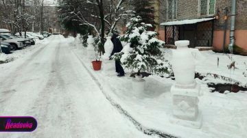 Античный Питер: в одном из дворов города мужчина слепил древнегреческие вазы