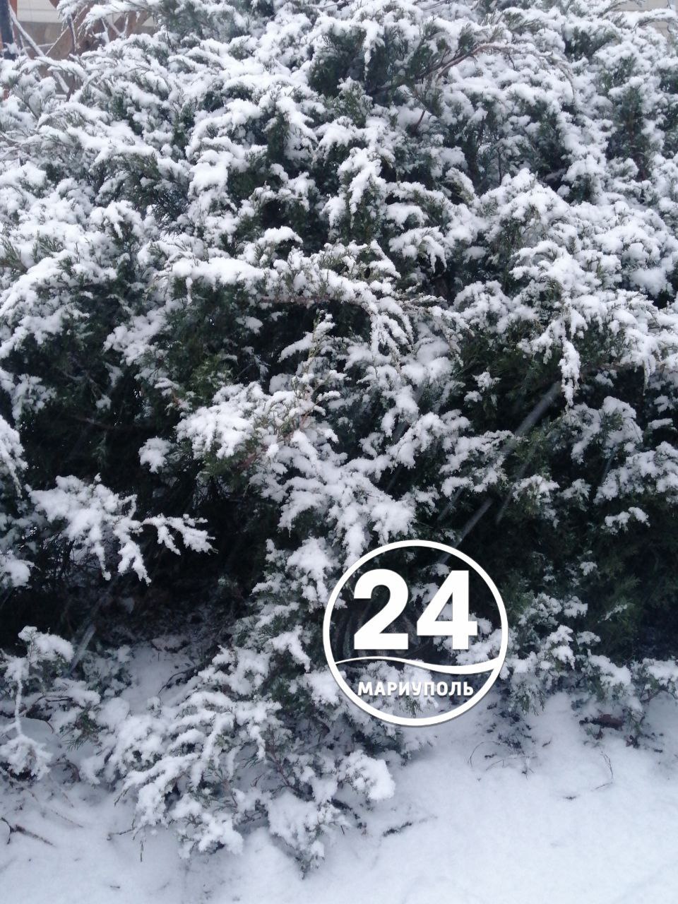 С добрым утром, Мариуполь!