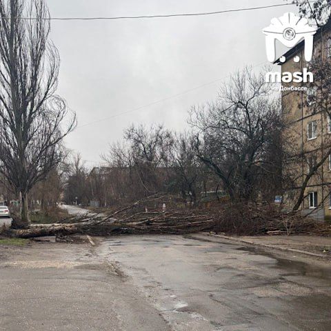 ���� ������ � ����� ������������ � ����������� ������� �������