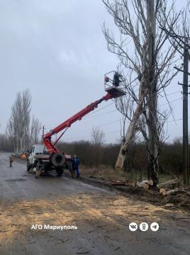 Мариупольские специалисты зеленого строительства подвели итоги работы в период новогодних праздников