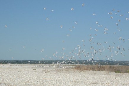 ����� �����: ������� ������ ������ ������!