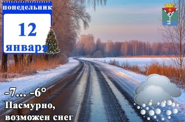 ��� ��� �������������:. 12 ������ � ���������� ��������� ����� ������ ���� � ������ ����� �� 20 �/�; �������, �� ������� ���������� � ��� � �� ��������� ��������� ����