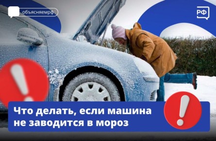 ���� ������ �� ��������� � �����