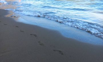 ���� ���������� ����� �������� ������� � �������� � ����������