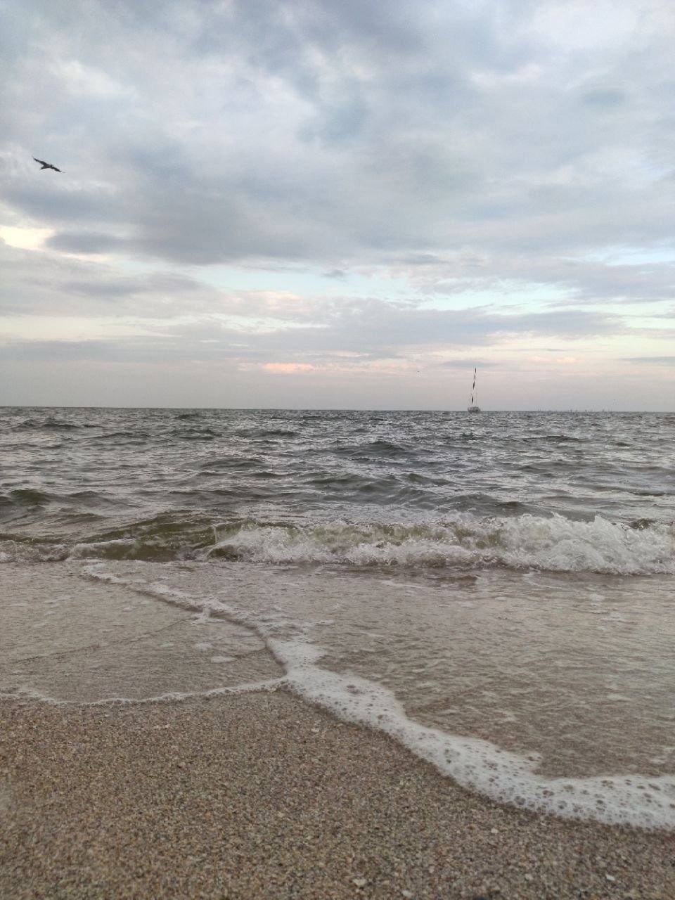 Азовское побережье ДНР будет развиваться по единому мастер-плану Азовское побережье ДНР будет развиваться по единому мастер-плану