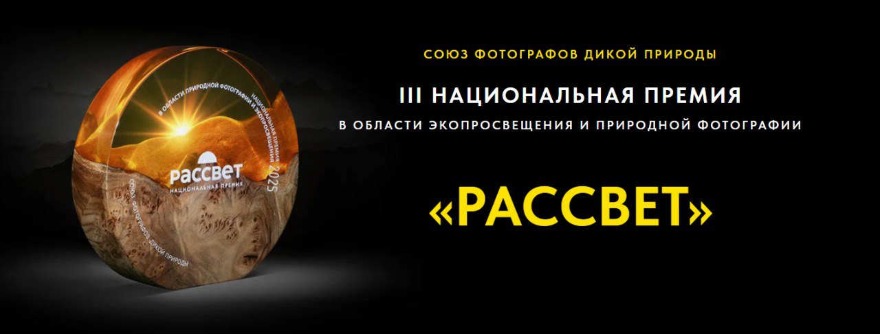 III Национальная премия в области экопросвещения и природной фотографии «РАССВЕТ»