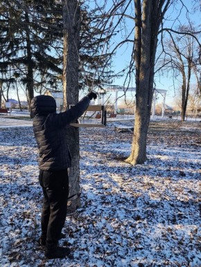 Итоги экологической акции «Кормушка добра»