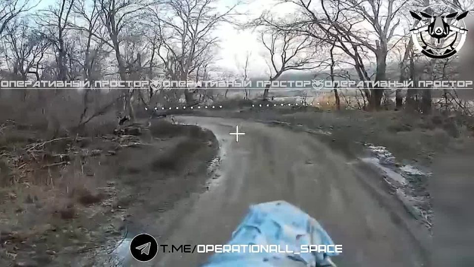 ��������� �������: ������ ����� 25 �����. ��������� ���� ������� ��������� �������� � ������ �������� ������