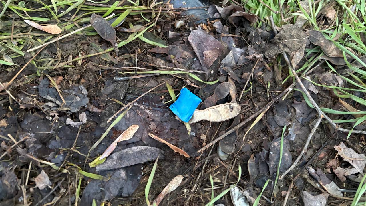 Полицейские пресекли попытку незаконного сбыта наркотиков Полицейские пресекли попытку незаконного сбыта наркотиков