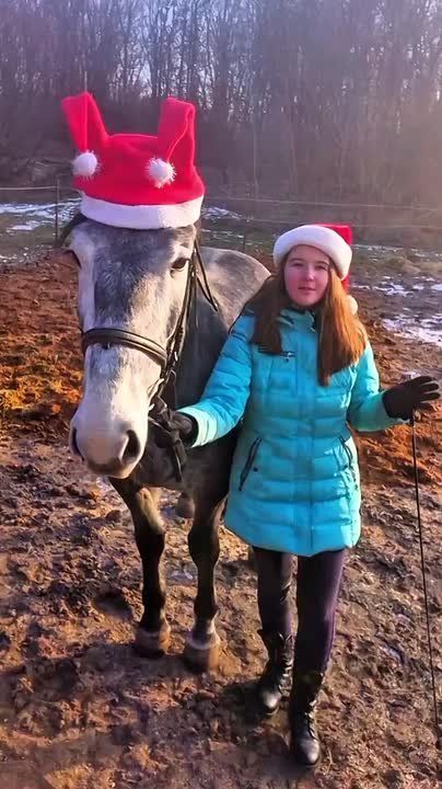 ������ ����� ��� - ������ ����� ������������