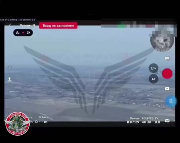 ��� ������: �������� �������������� (���������), ���������