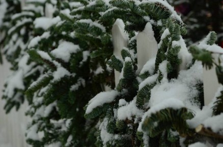 ��������� ������ ���������� ������ ��������! � ������ � 15.01.2026 �. �� 01.02.2026 �. ��� ��� ���������������� ������������ ����� �������� ����������, � ���� ������� ����� �������������� ���� ���� � ����� ��� ����������...