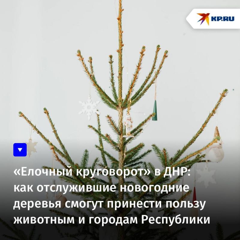 �������� ���������� � ���: ��� ����������� ���������� ������� ������� ������ �������� ������ �������� � ������� ����������