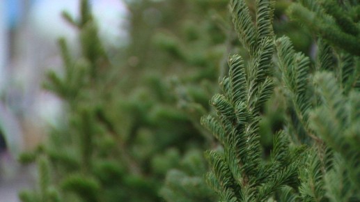 ���������� ��� ���������� �������������� � ������������� ����� �������� ����������