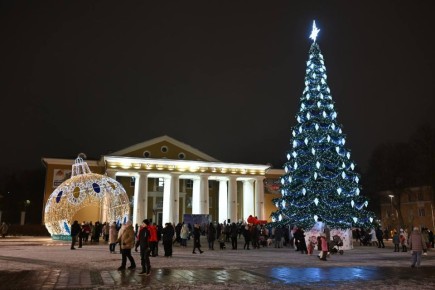 Названы победители Всероссийского конкурса «Елки России»