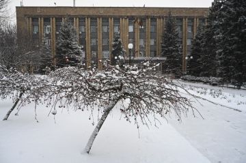 ���� ������: ���� ���������: � ������������ ������ ����� ��� ������� ������