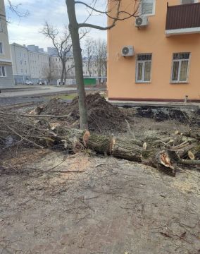 �������� ���� �����: ��������� ��� ������� �� � ���-�������