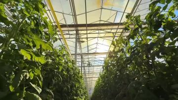 � ���������������� ��������� �������� �������� ���������� ������������ ���������� ����� �������������� ��������