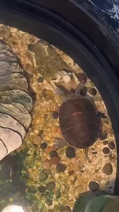 ����� ��������� ��������� ����-�� �����