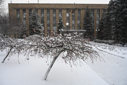 ���� ������: ���� ���������: � ������������ ������ ����� ��� ������� ������