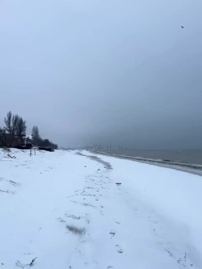 ������ � ����� ���� ���. ������ �������� ���� ��-���������� ��������� ������� ������ �� 16.01.2026 �������� �������� ����������: