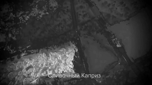 ������ ������� ��������� ����� ��������� ����� � ������������