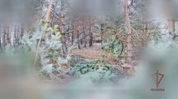 �� ����������� ����������� ������� ��� �������� ��������� ������� ���������� ���������� ��������� � ������ ���