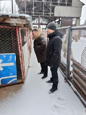 ���� ���������: � �������� ����������� ��������� ������ ������ ������ ������� ��������� ����