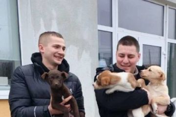 � ������� �������� ��������� ������� ����� ����� �����