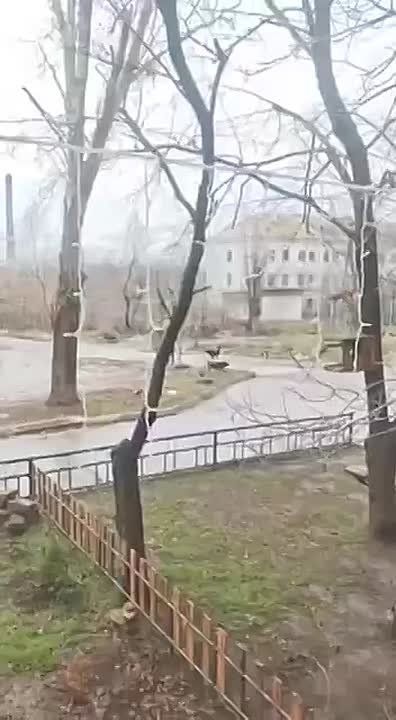 ���� ����� ������������� ������� ������