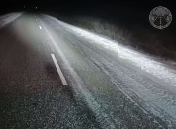 ��������� ����������: ����������� ���������� �� ������� ������ ����������� ���������� �� ����, 16 ������